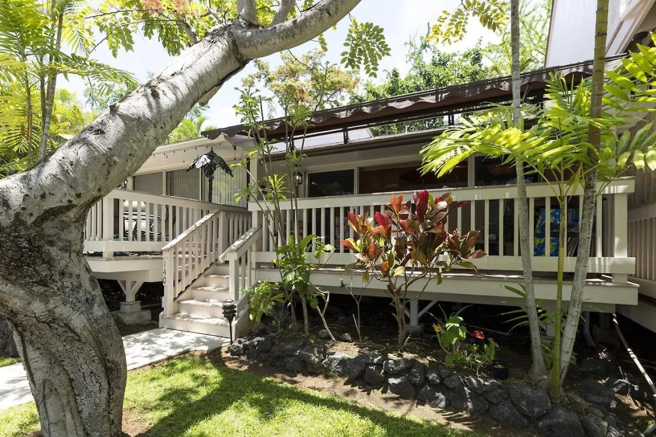 Feriehus Upgraded Chic Condo With Lush Gardens Kailua-Kona